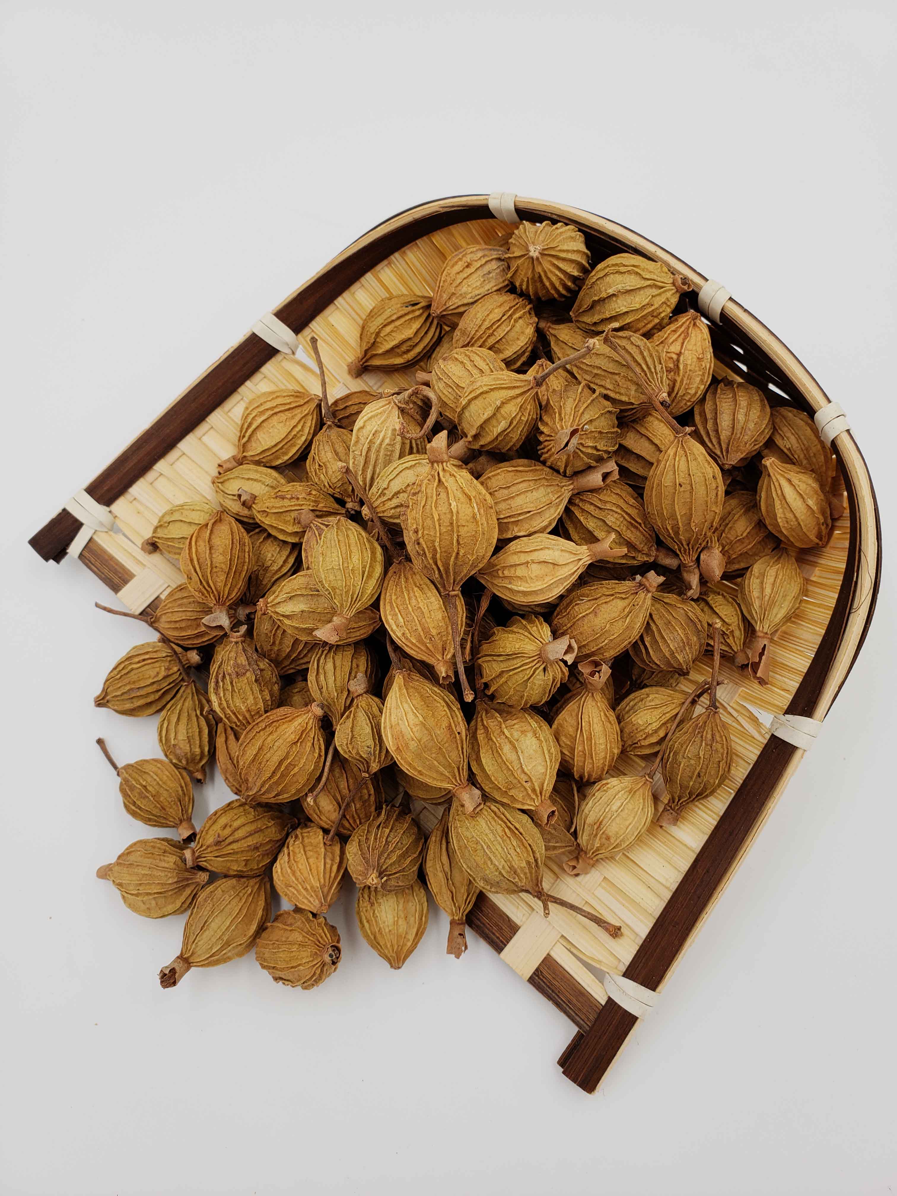 重慶香料批發-砂仁